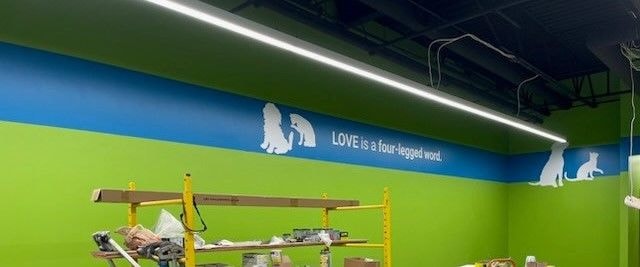 Wall Murals & Graphics | Retail