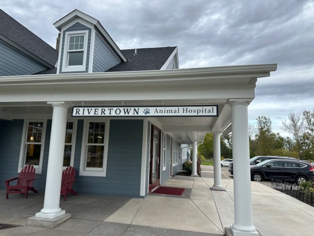 Hanging Signs & Ceiling Displays | Retail