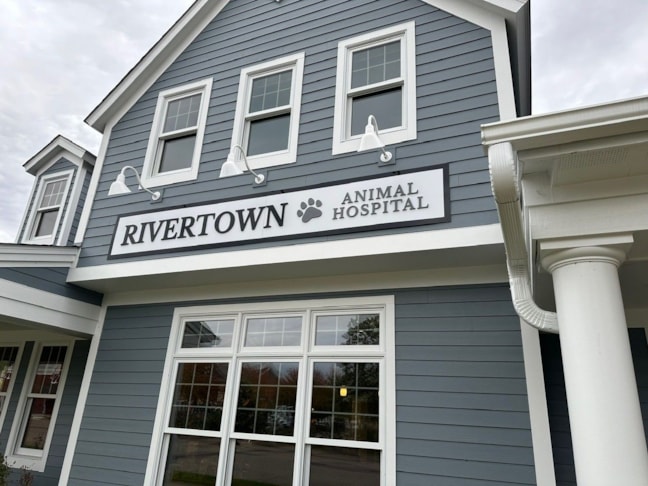 Outdoor Signage | Retail