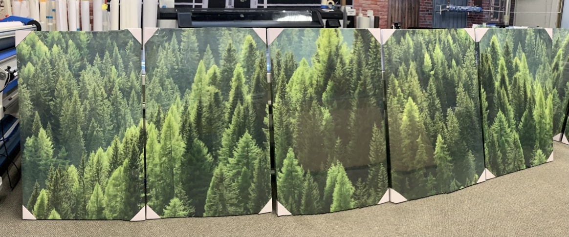 Canvas Prints & Fabric Prints