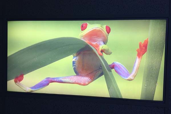  - Image360-Woodbury-CeailingGraphics-entertainment