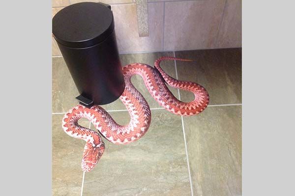  - Image360-Woodbury-FloorGraphics-Entertainment