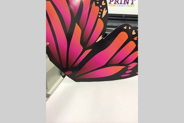  - Image360-Woodbury-POPDisplays-Entertainment