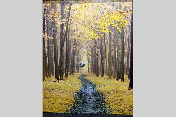  - Image360-Woodbury-WallMurals&WallPaper-Entertainment