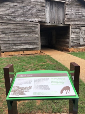 Exterior & Outdoor Signage