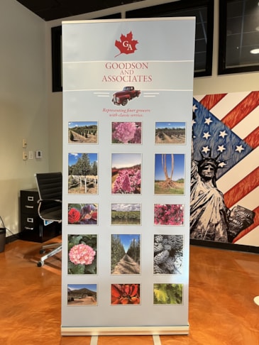 Banner Stands