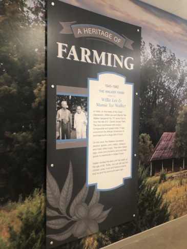 3D Signs & Dimensional Letters & Logos