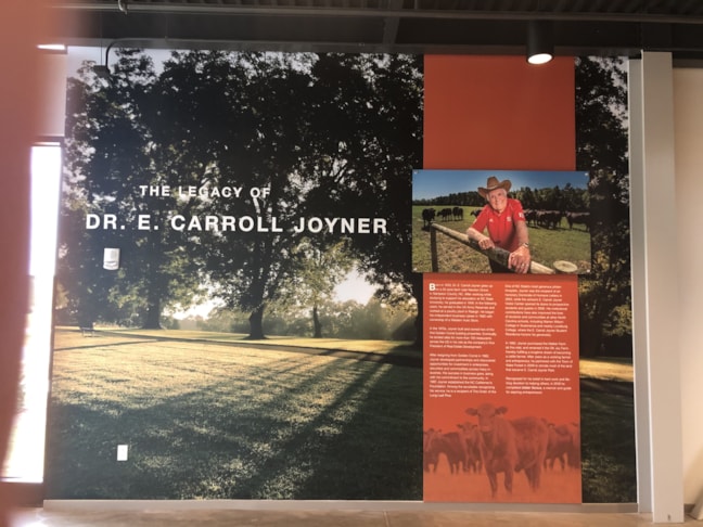 3D Signs & Dimensional Letters & Logos