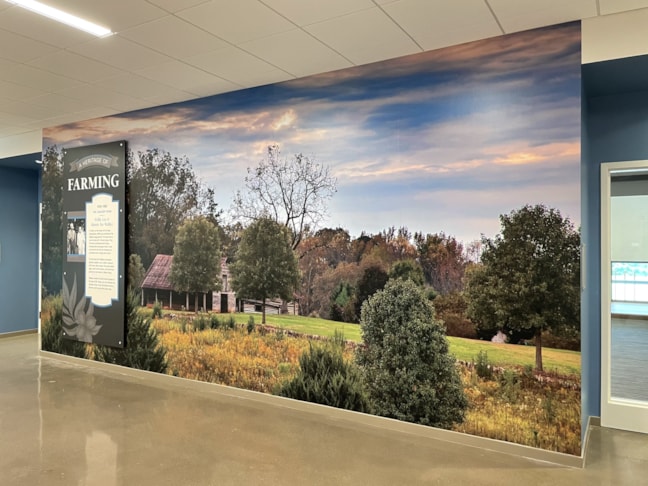 Wall Graphics, Murals, & Custom Wallpaper