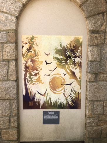 Wall Graphics, Murals, & Custom Wallpaper