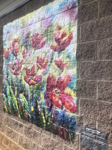 Wall Graphics, Murals, & Custom Wallpaper