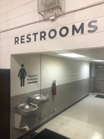 Wall Graphics, Murals, & Custom Wallpaper