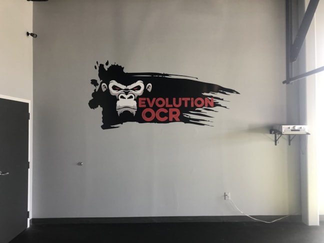 Wall Graphics, Murals, & Custom Wallpaper