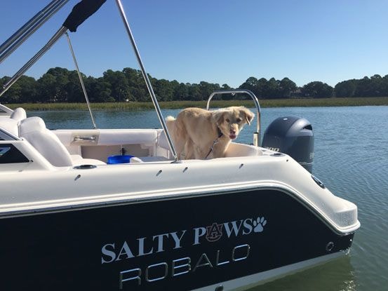 Boat Lettering and Decals in [city]