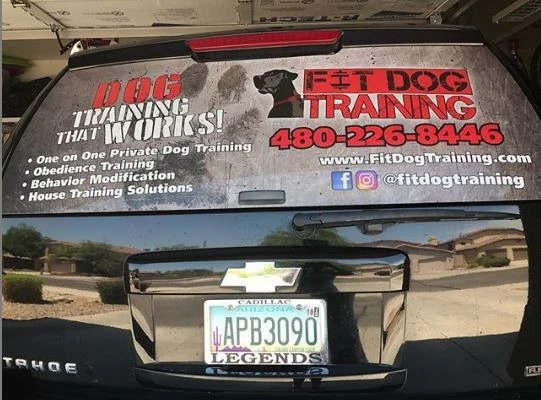 Vehicle Window Decals | Professional Services