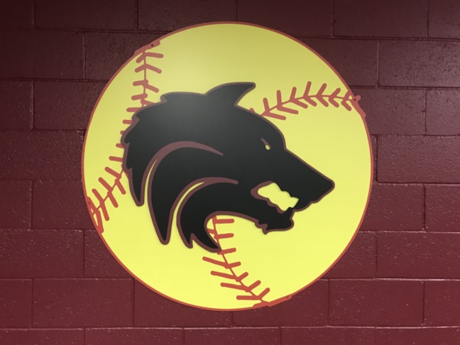 Locker Room Sign for Desert Mountain HS Softball