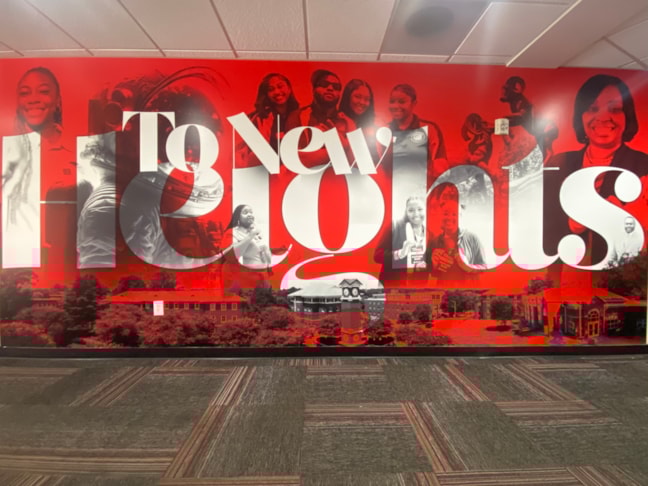 Wall Murals & Graphics