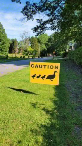 Geese Crossing Yard Signs