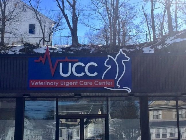 Channel letters with a small light box