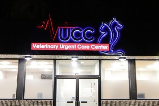 Channel letters with a small light box