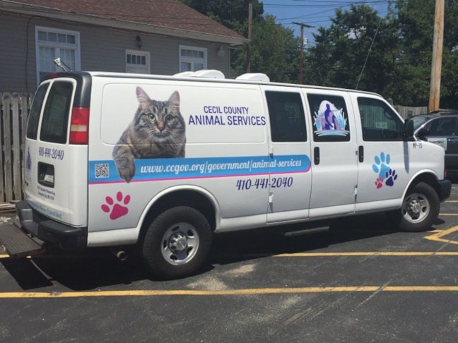 Custom Decals & Stickers in [city]