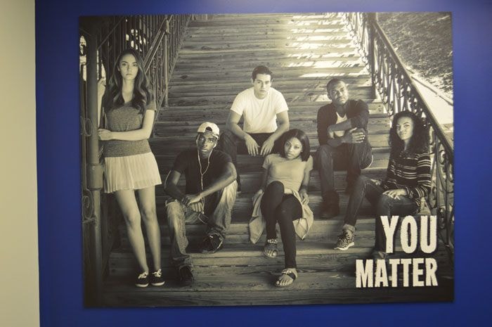 Wall Murals and Graphics