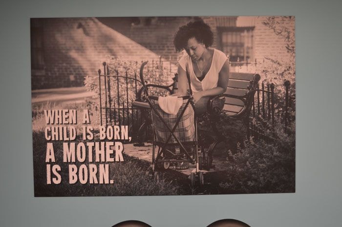 Wall Murals and Graphics