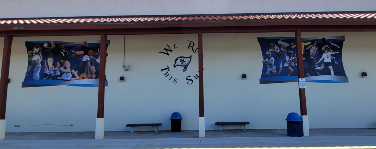 Wall Murals & Graphics