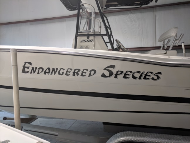 Boat Lettering and Decals in [city]