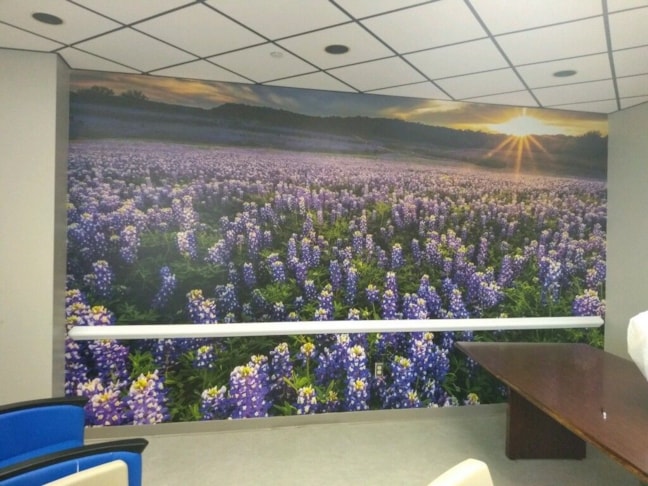 Wall Graphics, Murals, Wallpaper