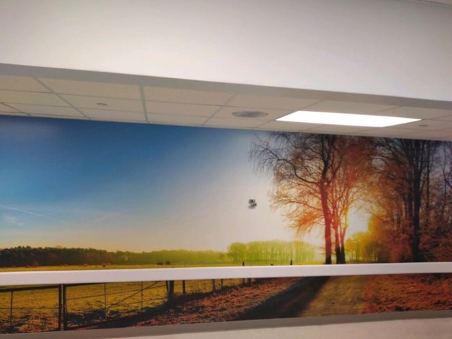 Wall Graphics, Murals, Wallpaper