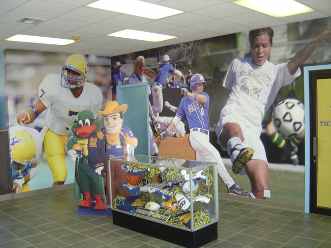Wall Murals and Graphics