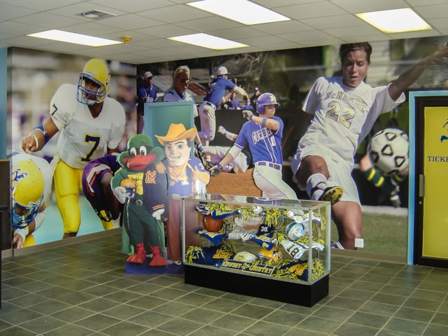 Wall Murals and Graphics