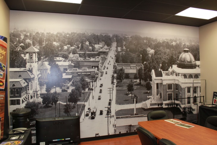 Wall Murals and Graphics
