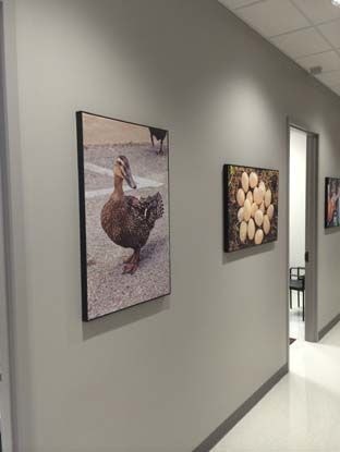 Canvas Prints & Fabric Prints in [city]