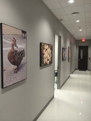 Canvas Prints & Fabric Prints in [city]