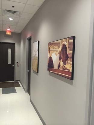 Canvas Prints & Fabric Prints in [city]