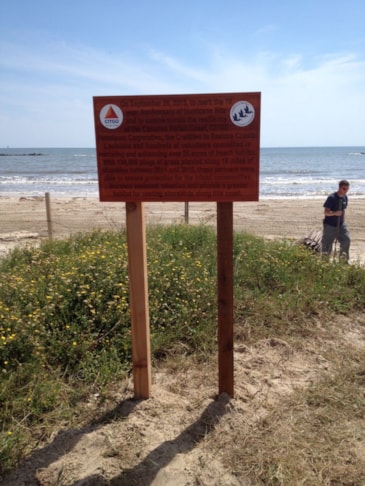 Carved Wooden Signs in [city]