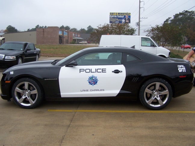 Vehicle Wraps in [city]