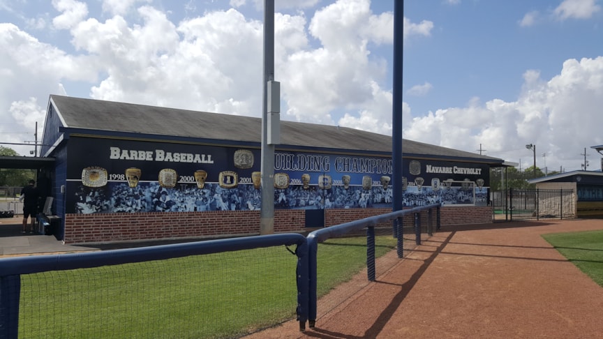 Barbe Baseball Wall Wrap