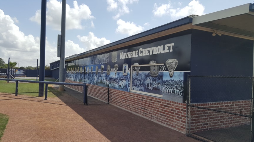 Barbe Baseball Wall Wrap