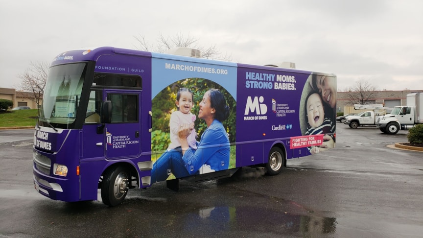 Vehicle Window Decals, Graphics & Lettering