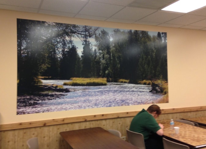 Large full color picture on wall