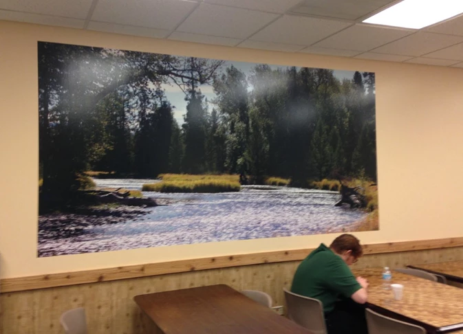 Large full color picture on wall