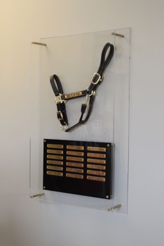 Custom display showing yearly award winners with three layers of acrylic on standoffs.  