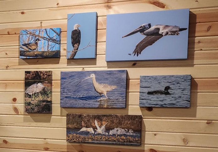 Gallery Wrap Canvas Prints