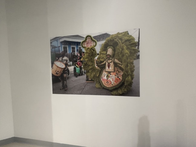 Wall Murals & Graphics