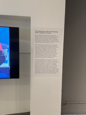 Wall Murals & Graphics