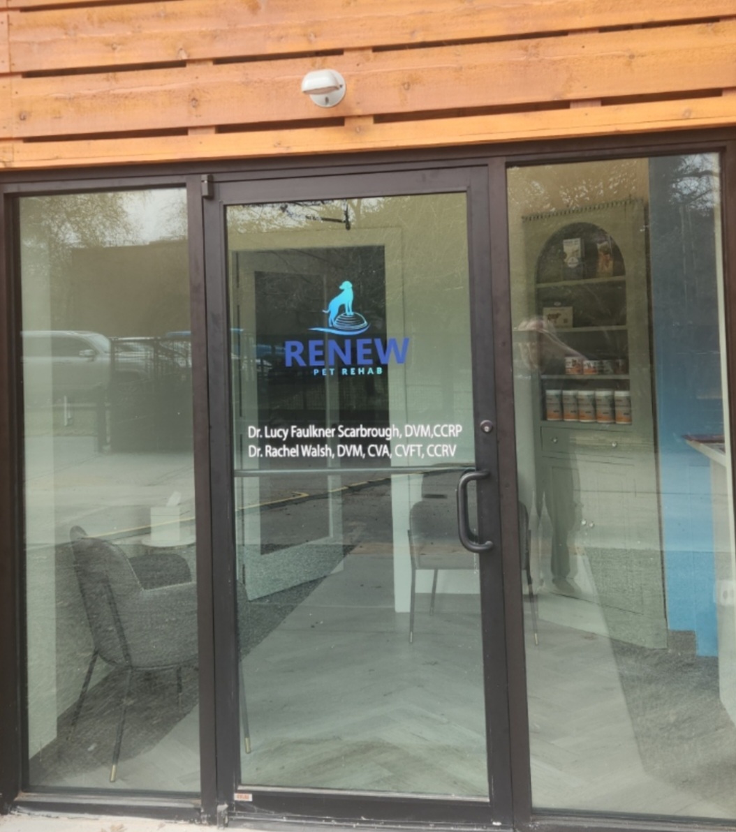 Window Graphics | Retail | Houston, Texas | Vinyl