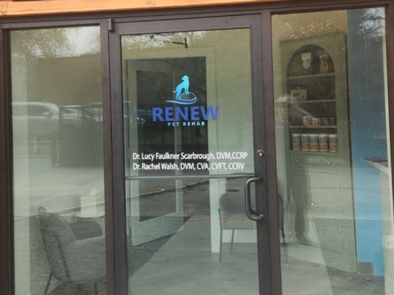 Window Graphics | Retail | Houston, Texas | Vinyl